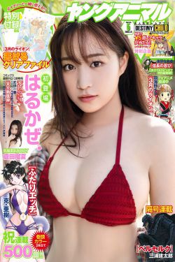 善良嫂子