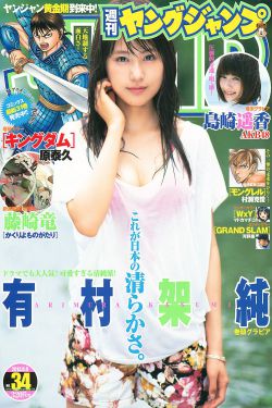 蝙蝠侠2